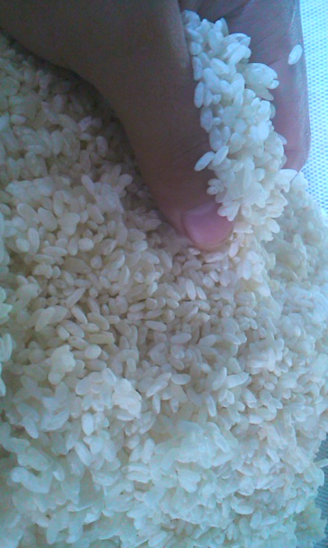 有機米麹