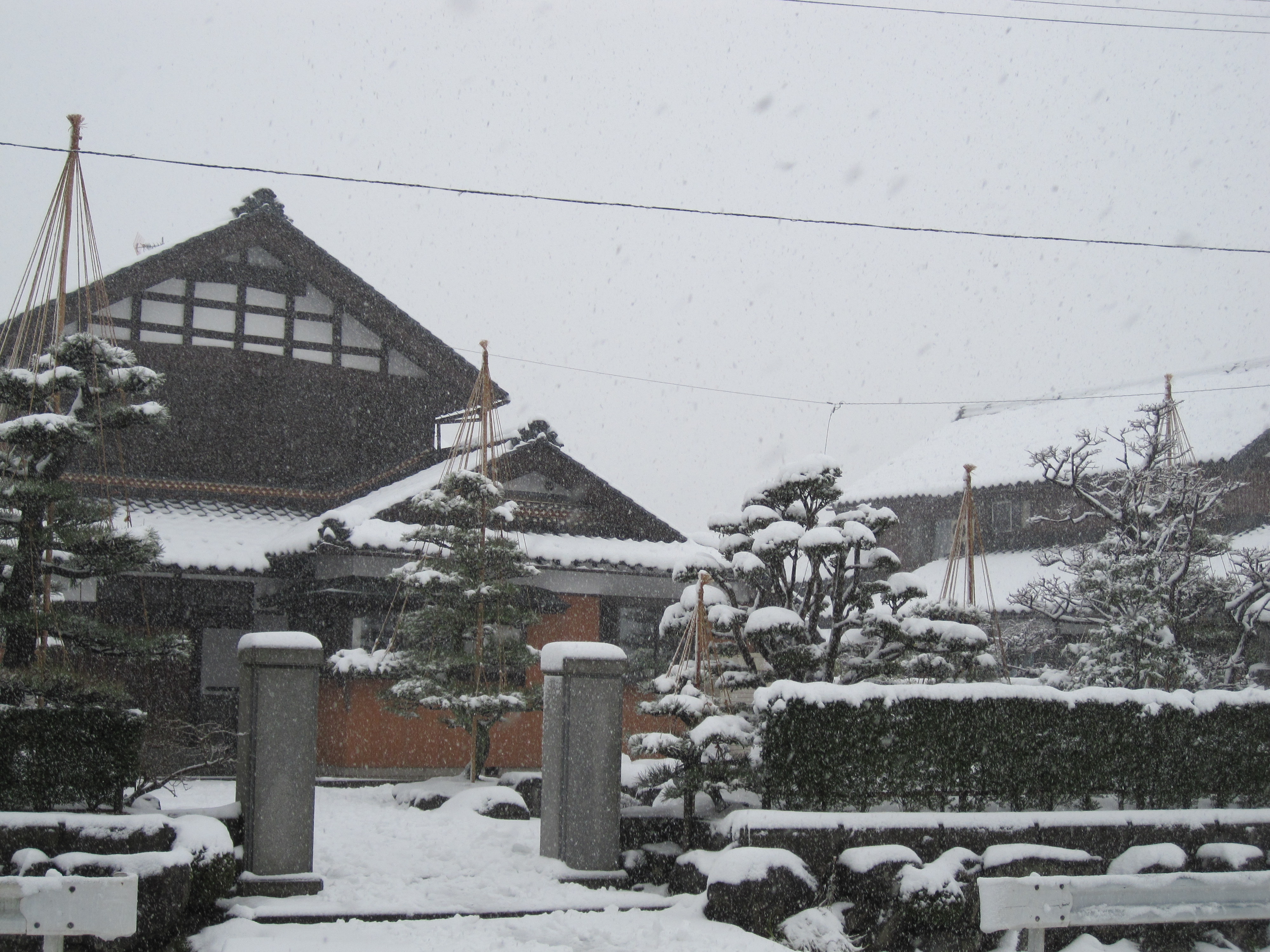 福井の積雪風景