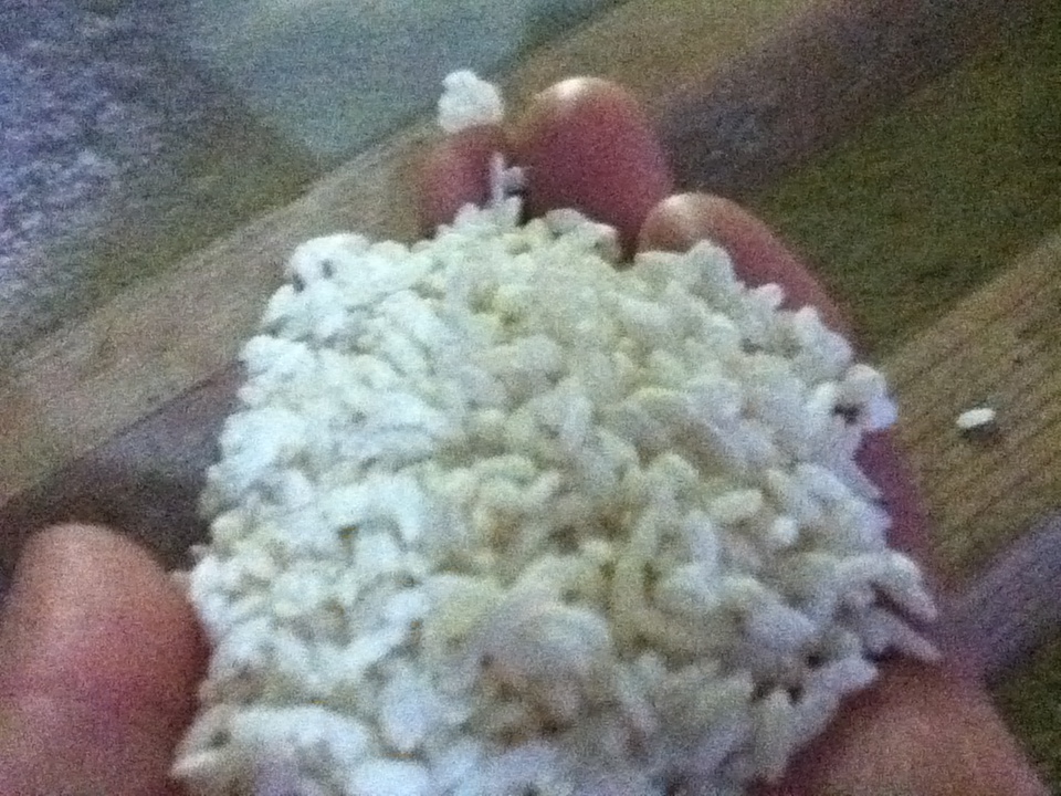 有機あまざけ用の米麹を作った