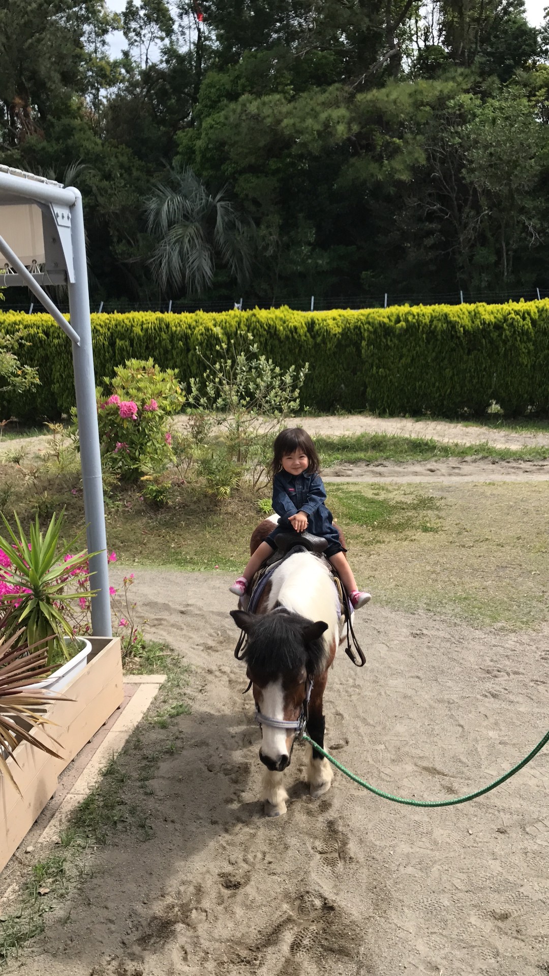 娘が馬にのった。